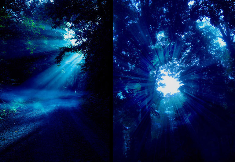 Matte paiting de la escena en el bosque. Las luces espectrales del escenario virtual potenciaban la estética gótica de la pieza.